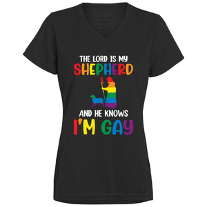 The Lord is my Shephard T shirt & Hoodie