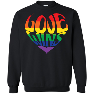 Love Wins black Sweatshirt Gay Pride Hoodie LGBTQ Hoodie for men & women