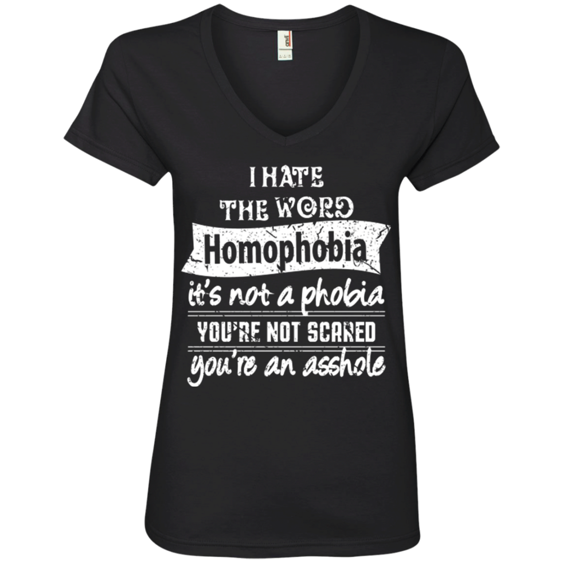 Anti Homophobia LGBT  v-neck wmens Shirt Gay pride ultra cotton tshirt for women