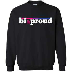 Bisexuality acceptance shirt