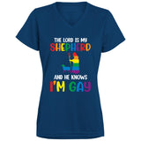 The Lord is my Shephard T shirt & Hoodie