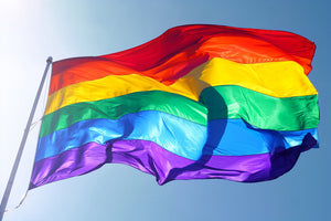 Rainbow Gay Pride Flag 